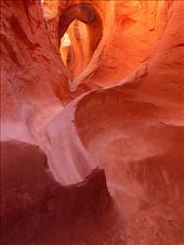 Slot canyon, Escalante: by clare-tamea, Views[245]