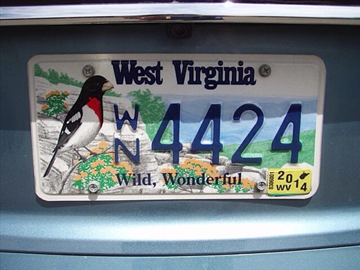 USA has such varied number plates