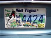 USA has such varied number plates: by clare-tamea, Views[718]