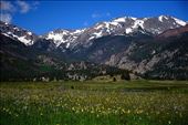 Spring flower meadows, Rocky Mountains: by clare-tamea, Views[219]