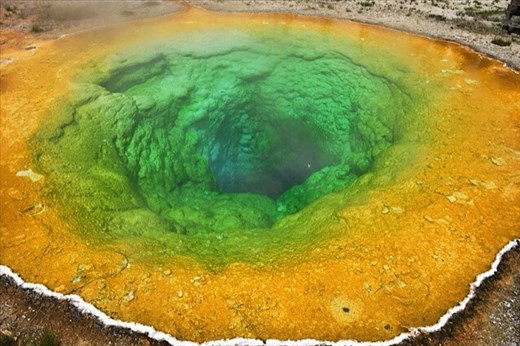 Morning Glory pool, Yellowstone