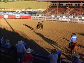 Rodeo, Cody: by clare-tamea, Views[599]
