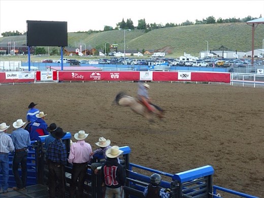 Riding a bucking bronco, Cody