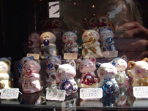 Cute cats in Tokyo shop window