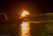 Cormorant fishing: by clare-tamea, Views[332]