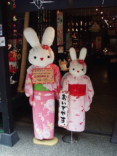 Shop dedicated to everything 