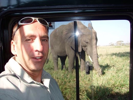 Hello Mr Elephant! View from safari jeep