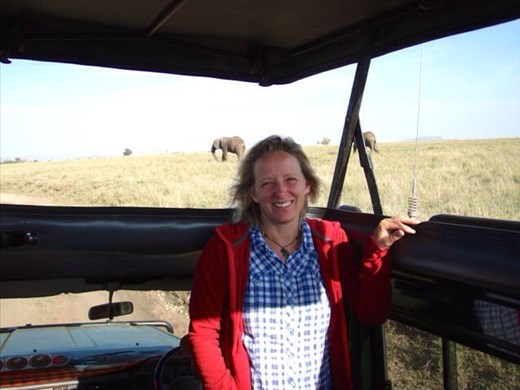 Happy bunny on safari