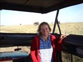 Happy bunny on safari: by clare-tamea, Views[382]