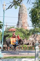 Elephant, Ayutthaya: by clare-tamea, Views[350]