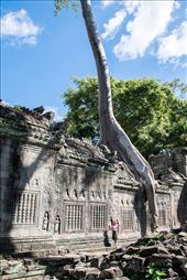 Preah Khan temple: by clare-tamea, Views[528]