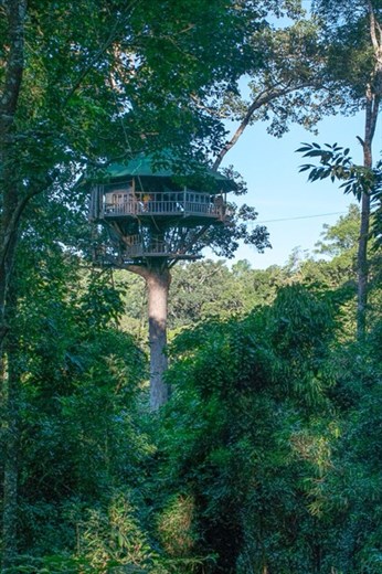 Our treehouse home for the night - 150 feet off the ground!