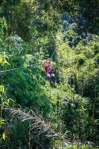 Flight of the Gibbon zip lining through the jungle canopy