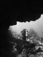 Rodrigo exiting a cavern at one of the most famous dive sites, La Poza, home to 100+ Tarpon. As well as creating a safe haven for marine life, the diving in Xcalac is some of the finest in Mexico, untouched and thriving with life. The way it should be. : by clarejames, Views[354]