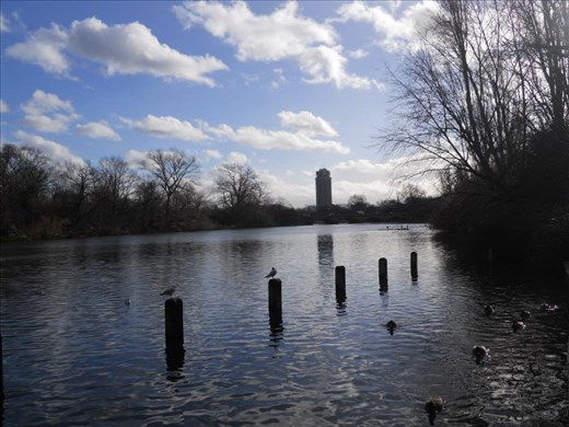 Quiet accompanied by chirping and clear skies in Hyde Park, London.