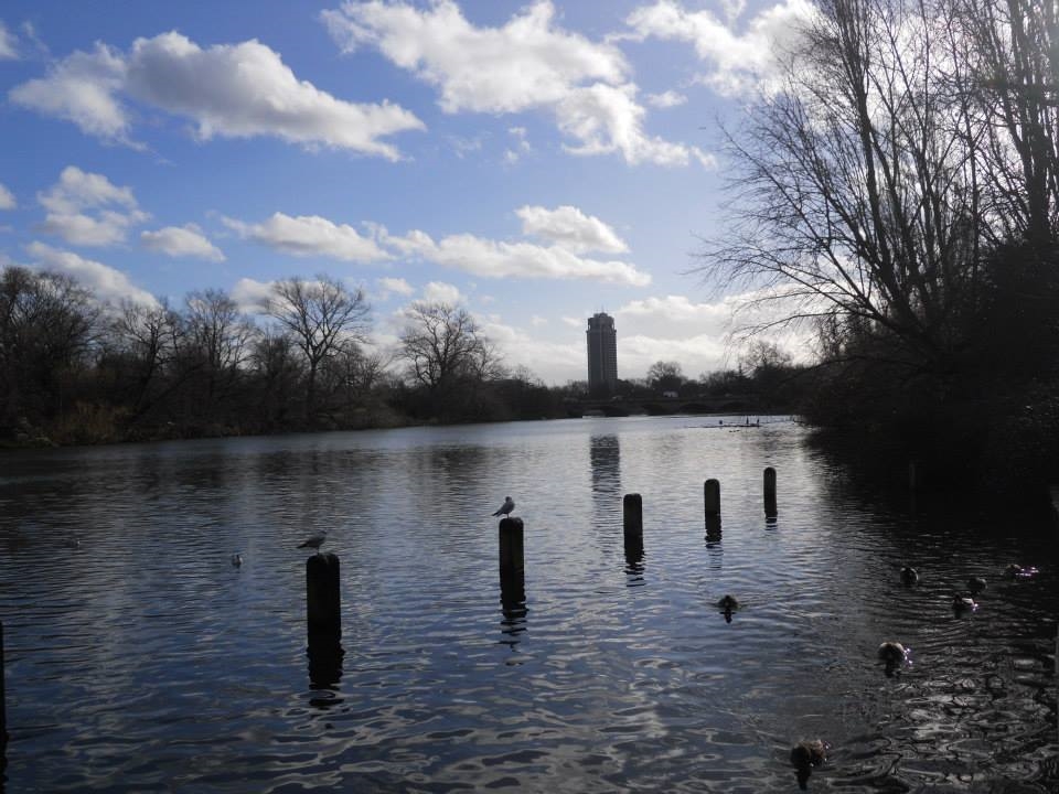 Quiet accompanied by chirping and clear skies in Hyde Park, London.