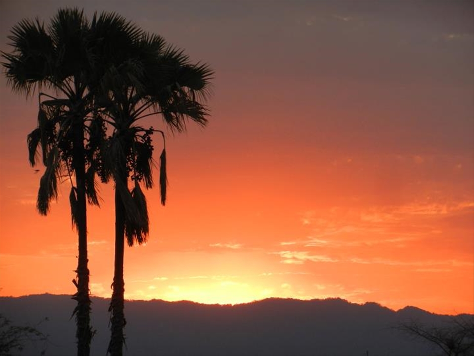 Kenya. sunset on the savanna. The sun gives way to near darkness.