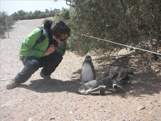 Making new friends in Punta Tombo, Argentina