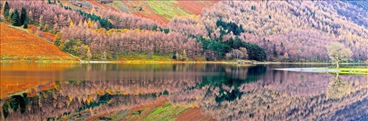 Autumn in Buttermere