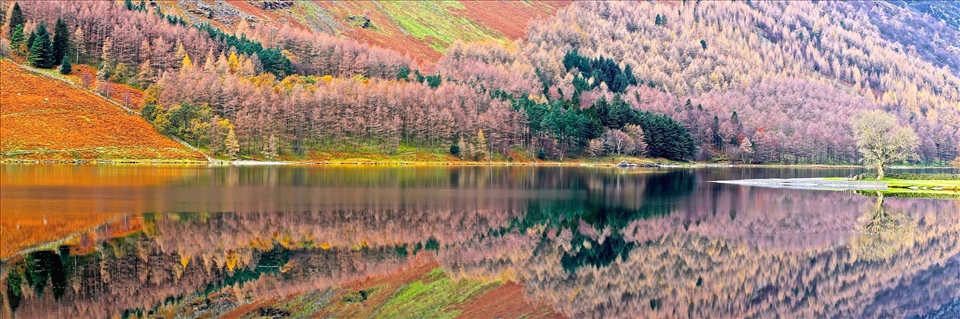 Autumn in Buttermere