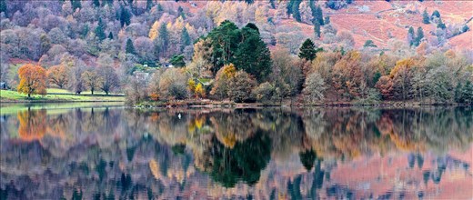 Grasmere Reflections