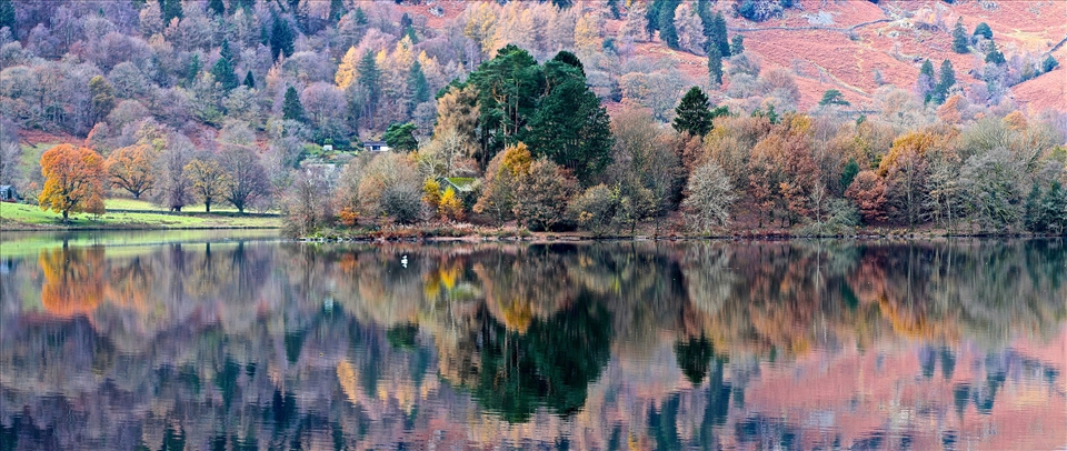 Grasmere Reflections