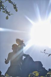 by clber, Views[135]