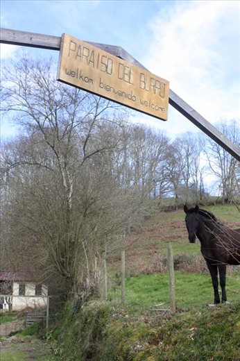 Welcome to Paraiso del Burro