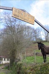 Welcome to Paraiso del Burro: by cloide, Views[163]