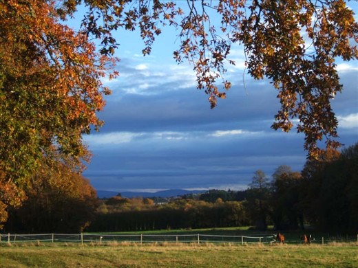 Postcard of Garabullos