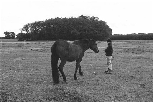 Yolanda's pride, Niu