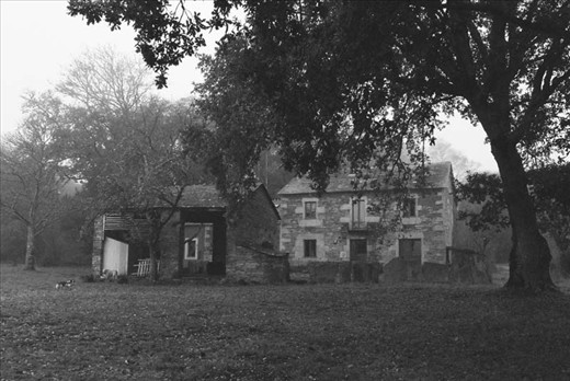 The heart of Garabullos