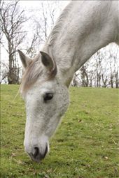 Magical Mara: by cloide, Views[176]