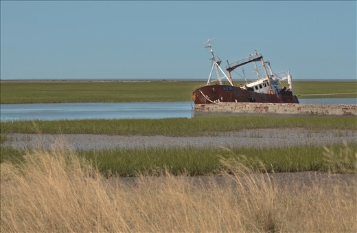 Life springs up in solitude