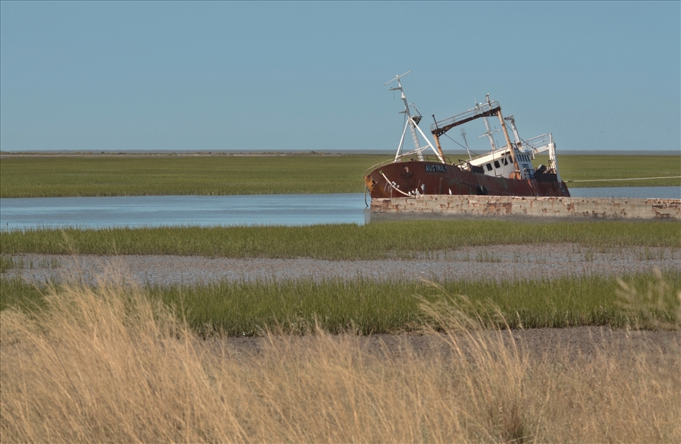 Life springs up in solitude