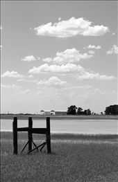 All that's left: by closedharbor, Views[423]