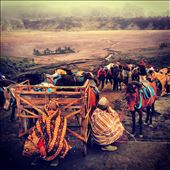 A Rainy Day on Mount Bromo: by cloudforestbryony, Views[288]