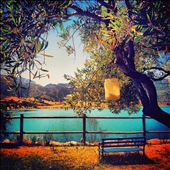 A happy place if there ever was one - Lake Zahara, Andalucia: by cloudforestbryony, Views[224]
