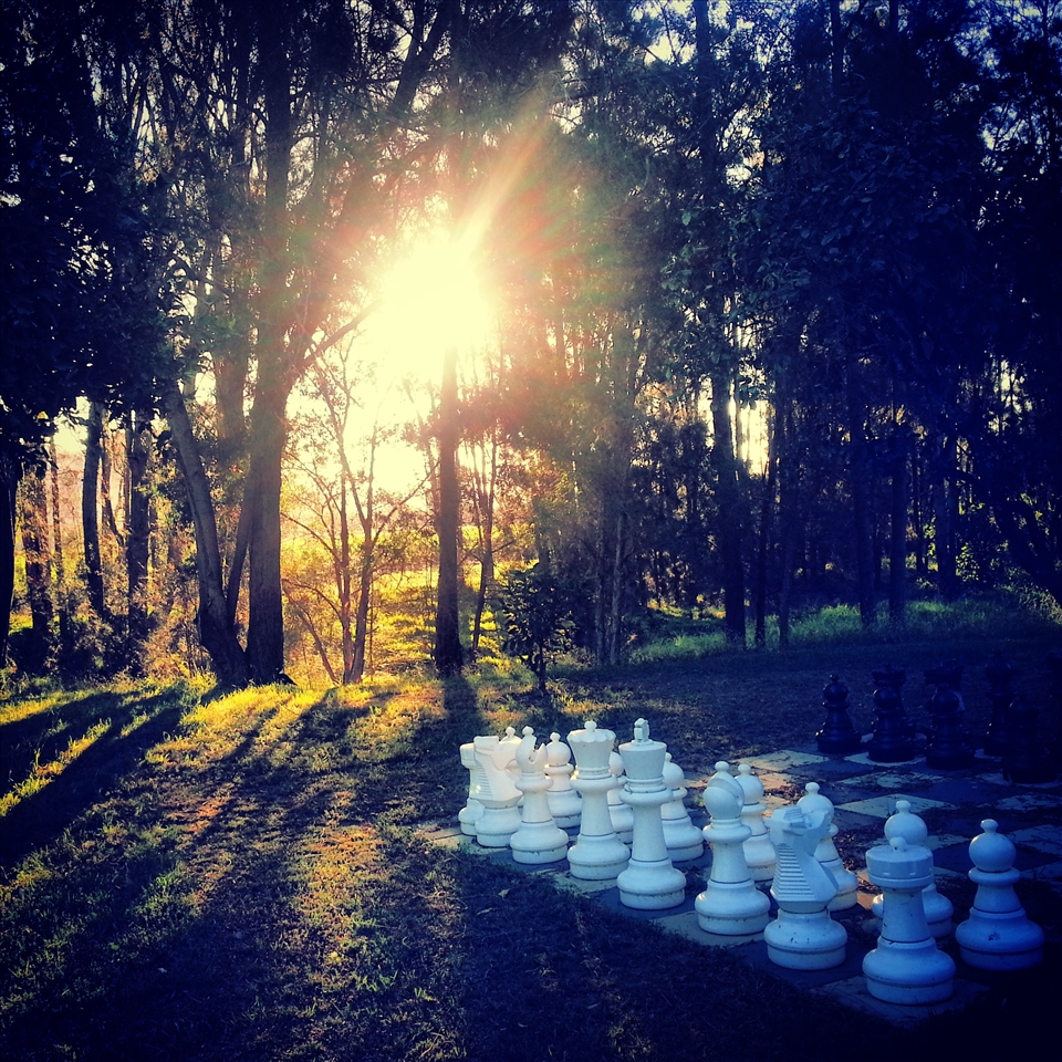 Always Planning My Next Move...