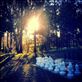 Always Planning My Next Move...: by cloudforestbryony, Views[193]