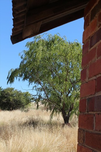 View from an old gold shack in Clunes - Vic