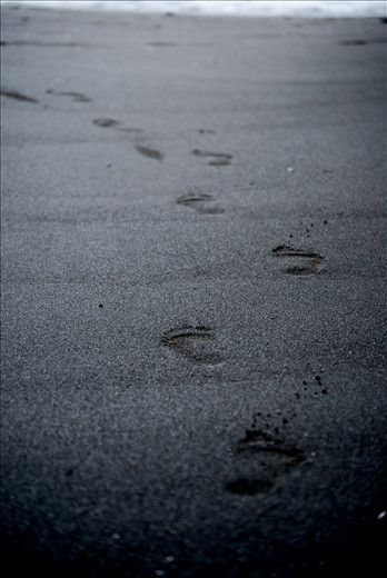 Footprints in the sand of a natural explorer.