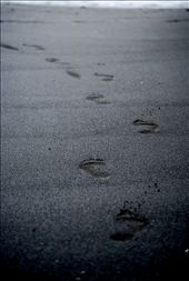 Footprints in the sand of a natural explorer.: by cmcgill, Views[280]