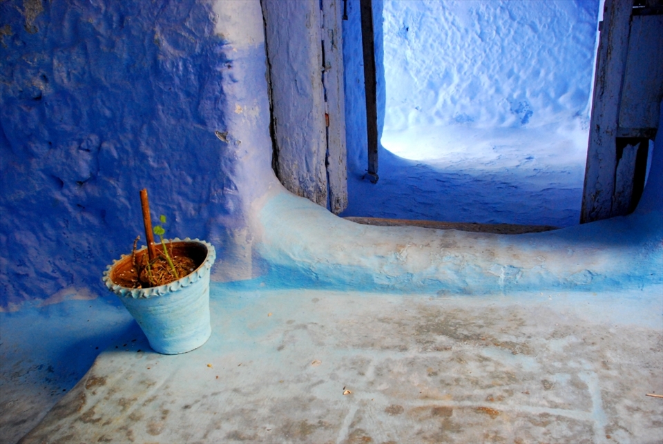I fell in love with this spot of the village, this was my second trip back as when I looked back at my photos of the previous day, I felt that my crop was a little too tight at the base of the frame. I feel much happier with the second attempt and luckily the light was just as good for my second visit!

I could have stayed here for hours…

I found Chaouen really inspiring, but I also found it extremely tricky to photograph – who knew that the colour blue could be so difficult to capture – it was hard not to make it look like as though I’d set an incorrect white balance.