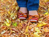 love.... ly shoes : by coactemalan, Views[240]