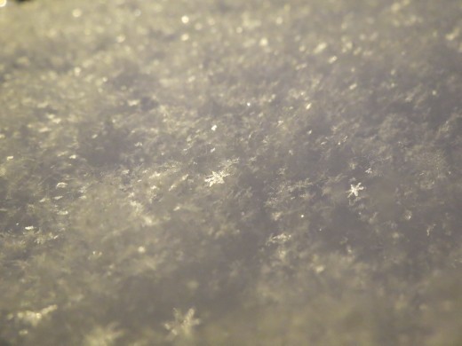 little fallen warriors