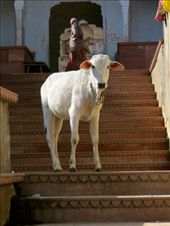 by coati2012, Views[189]