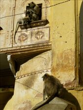 by coati2012, Views[446]