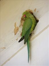 by coati2012, Views[134]