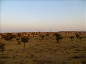 by coati2012, Views[173]